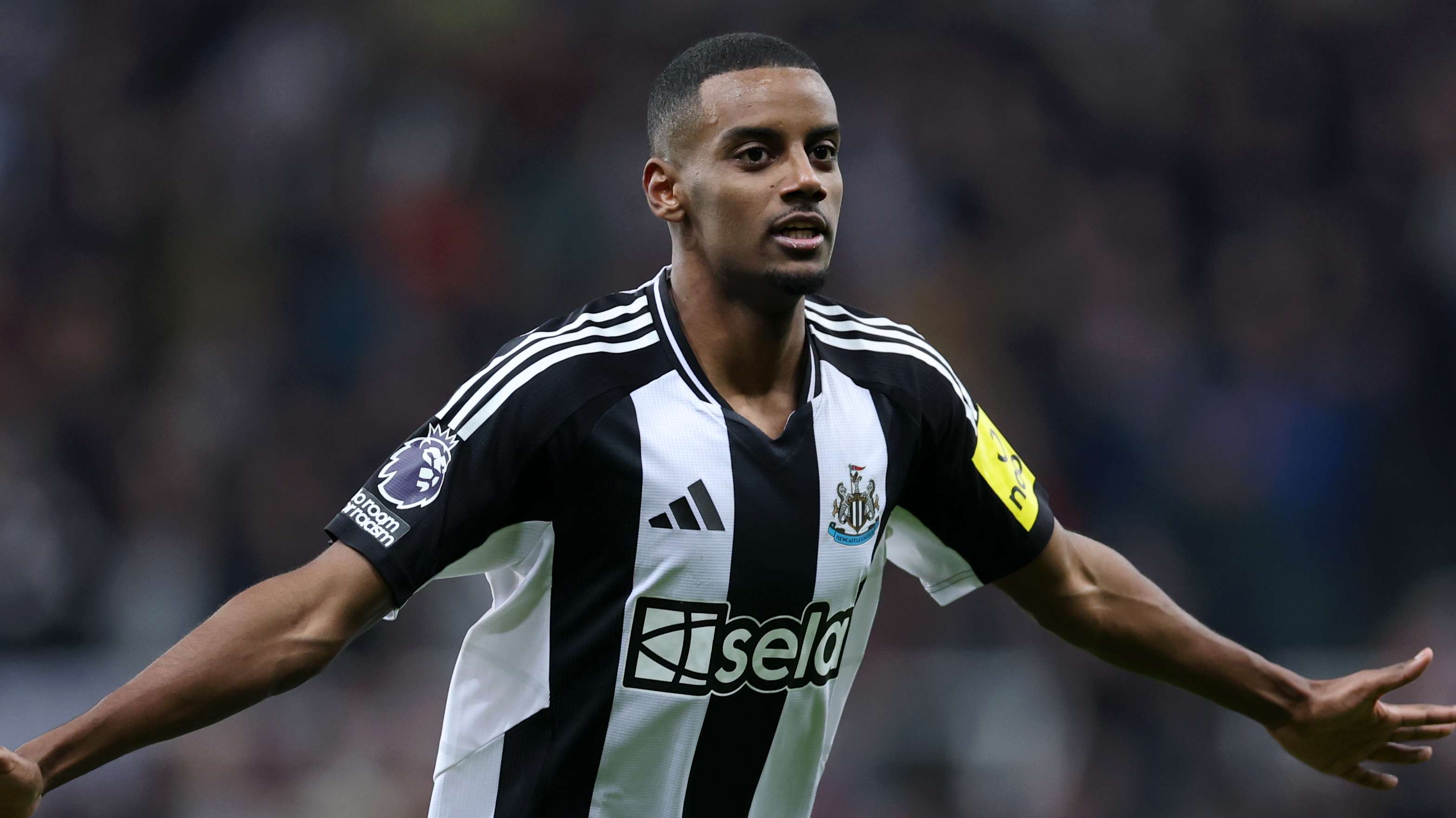 文章还会关 文章还会关